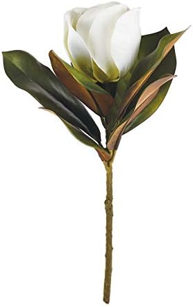 Magnolia Stem 17.5"