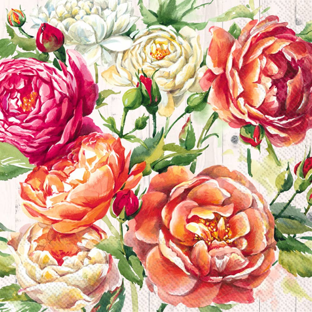 Apricot Rose Cream Paper Lunch Napkins 20 Count